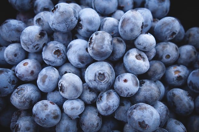 blueberries for breakfast or lunch