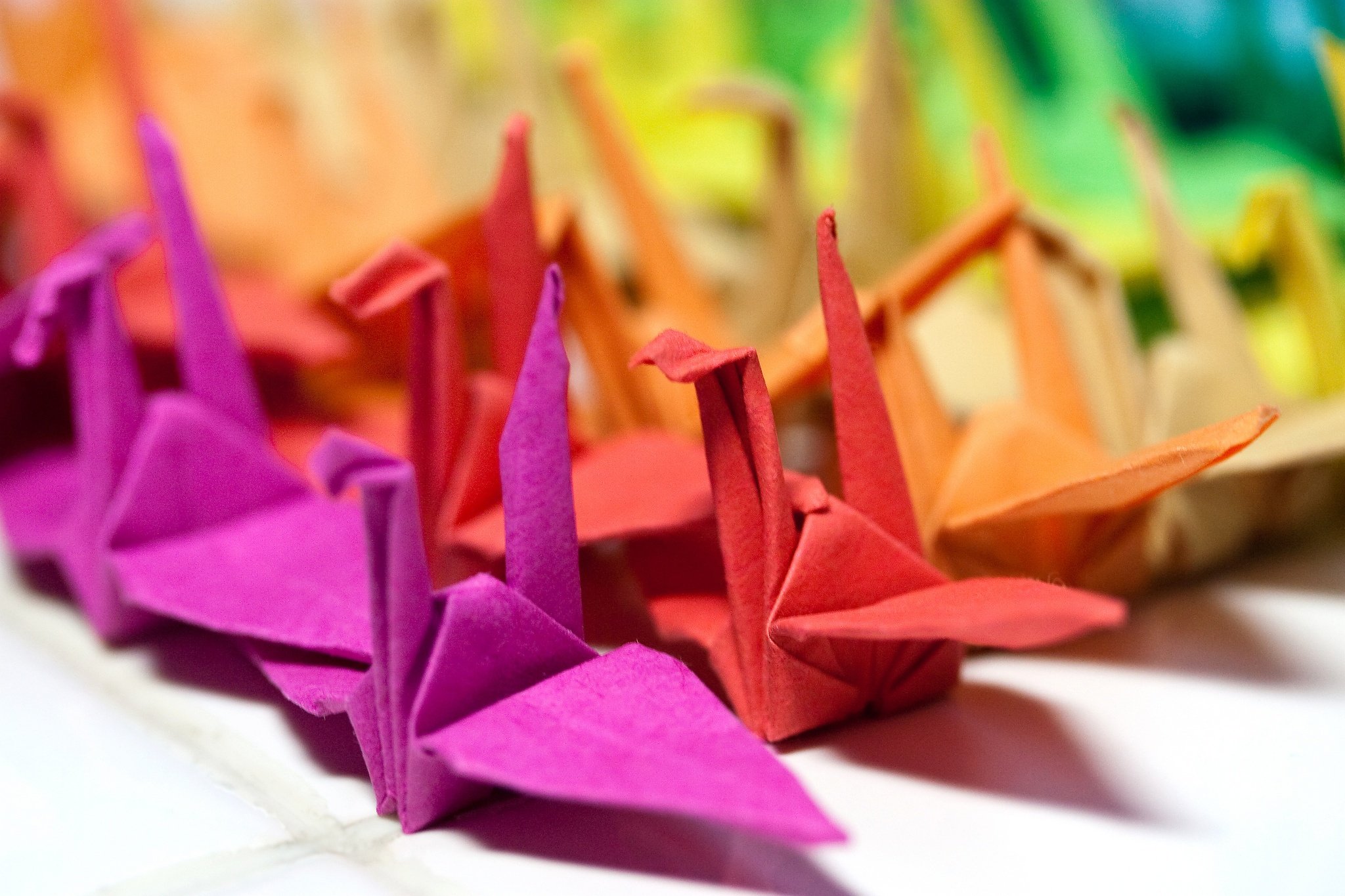 Colorful origami cranes