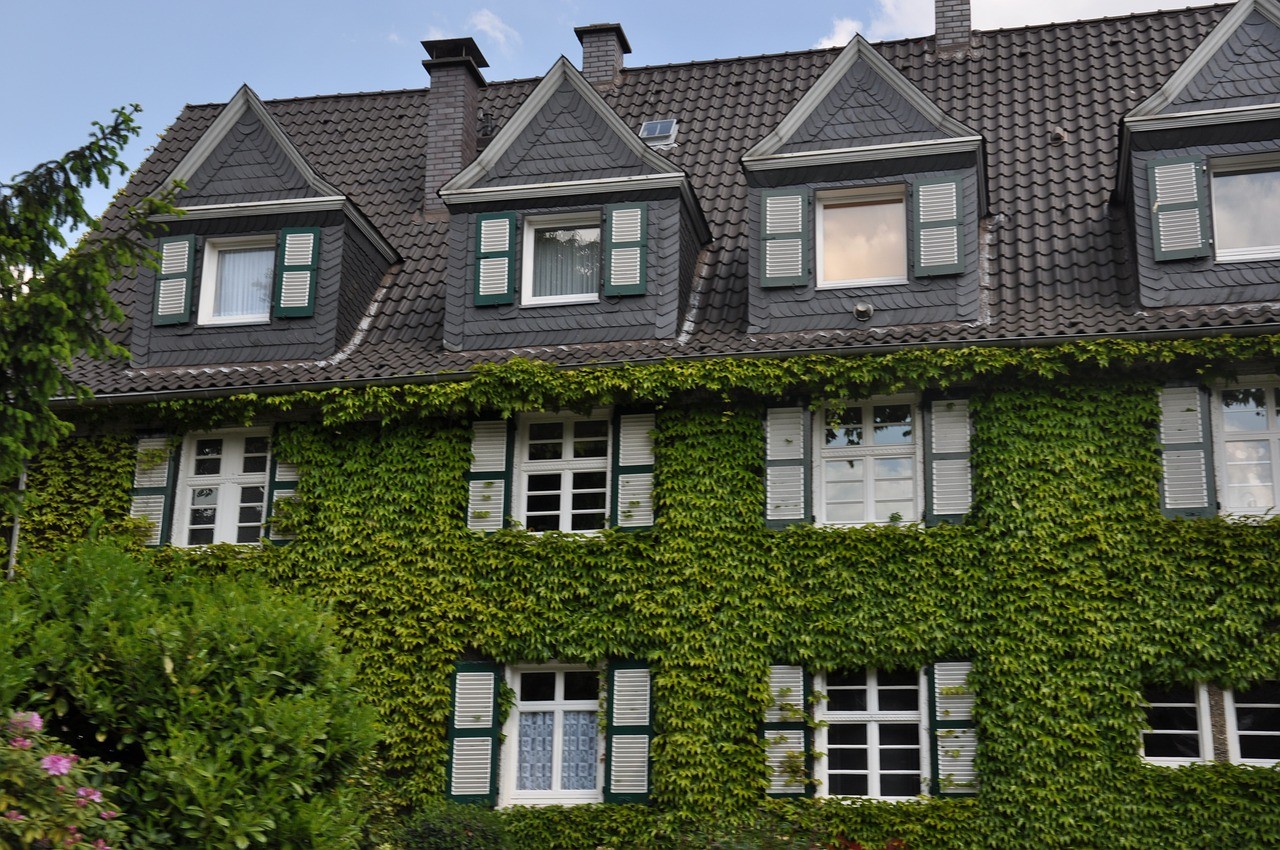 Science Says a Green Home can Improve Your Health