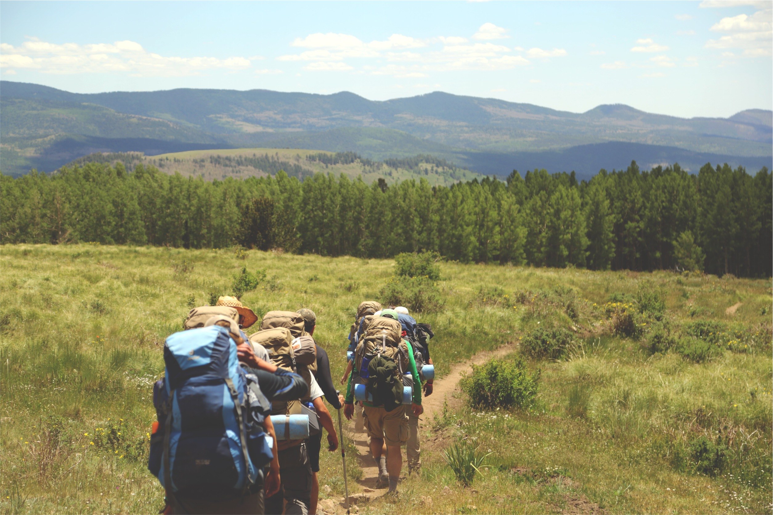 Doctors Tell Us How Hiking Can Change Our Brains
