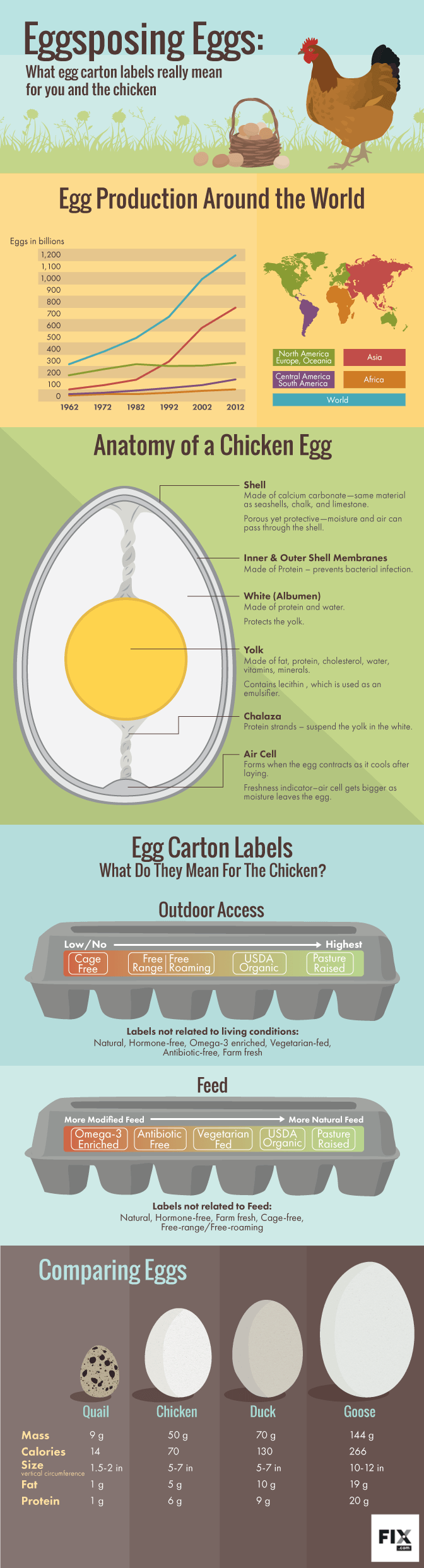 eggsposing-eggs-embed-large