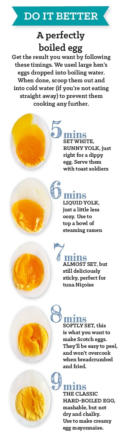 a-perfectly-boiled-egg-graphic-1