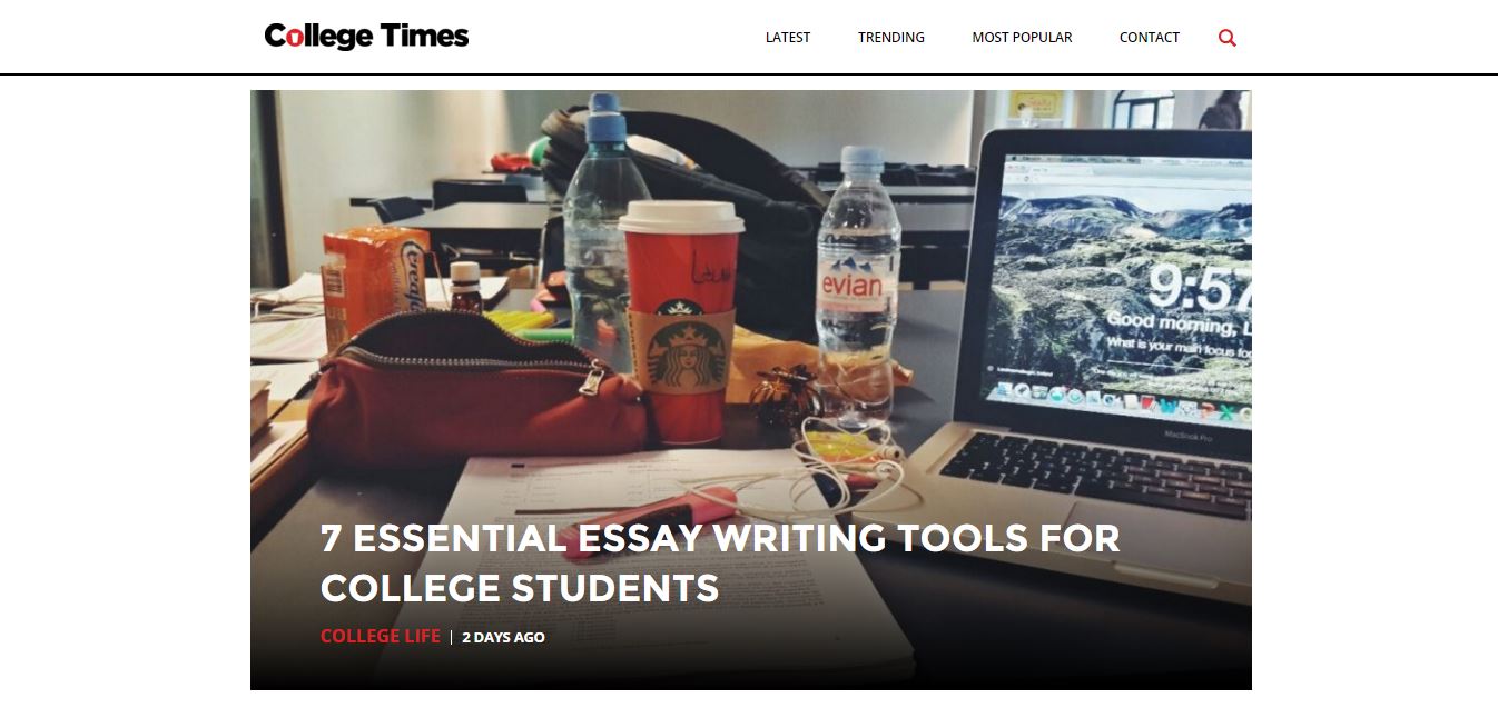 custom essay writer website for college