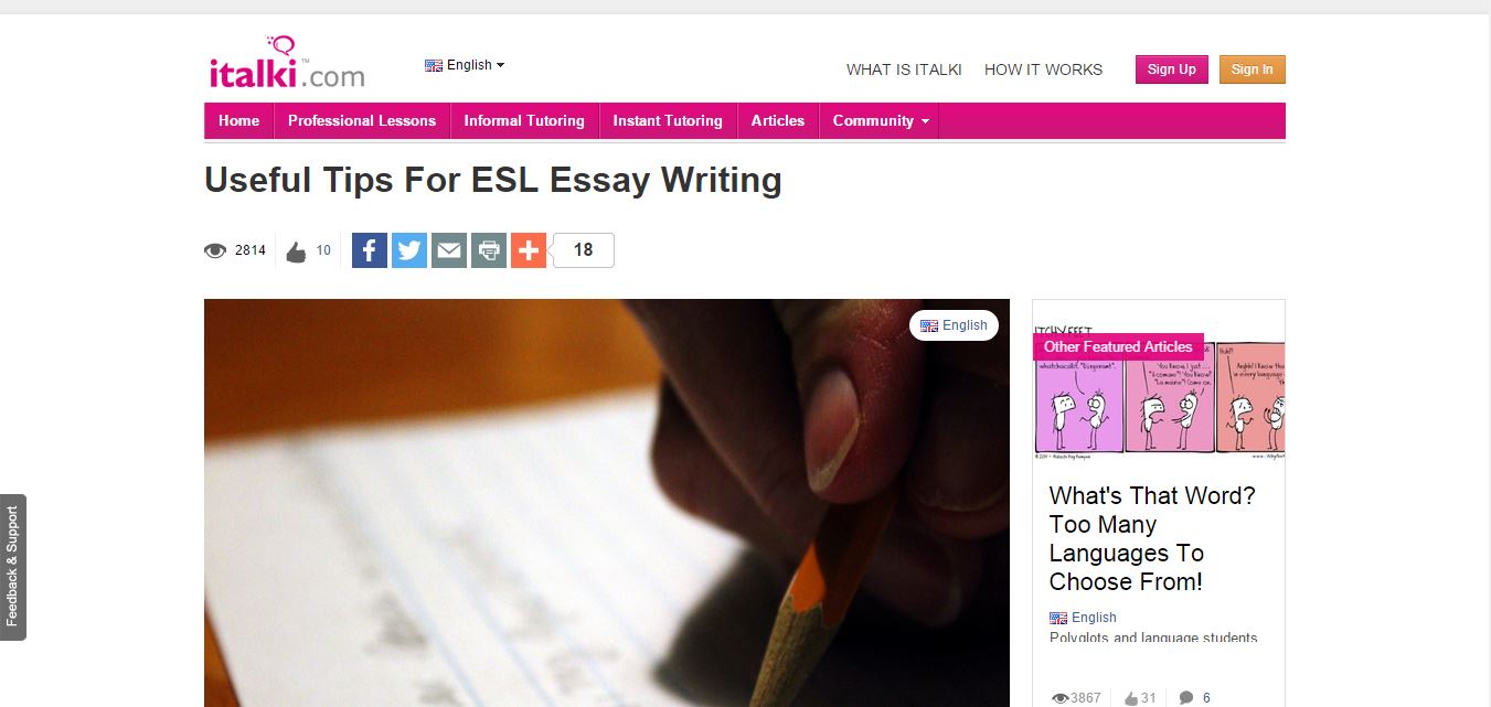 custom english essays