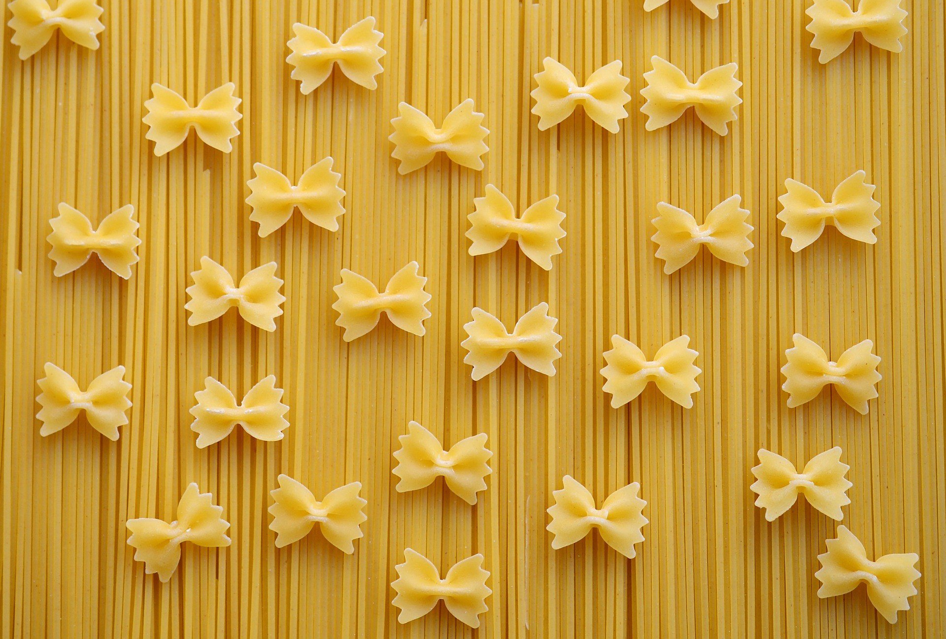 Pasta Makes You Fat: Myth Or Fact?