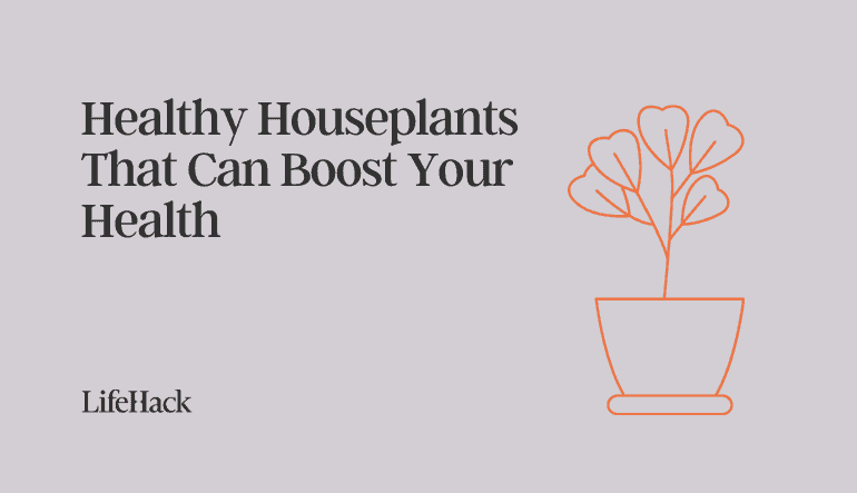 healthy houseplants