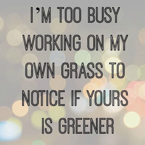 I'm Too Busy Working On My Own Grass - Quote about strength
