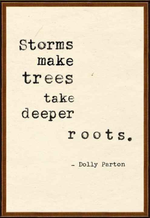 Storms Makes Tress Take Deeper Roots - Strong Quote