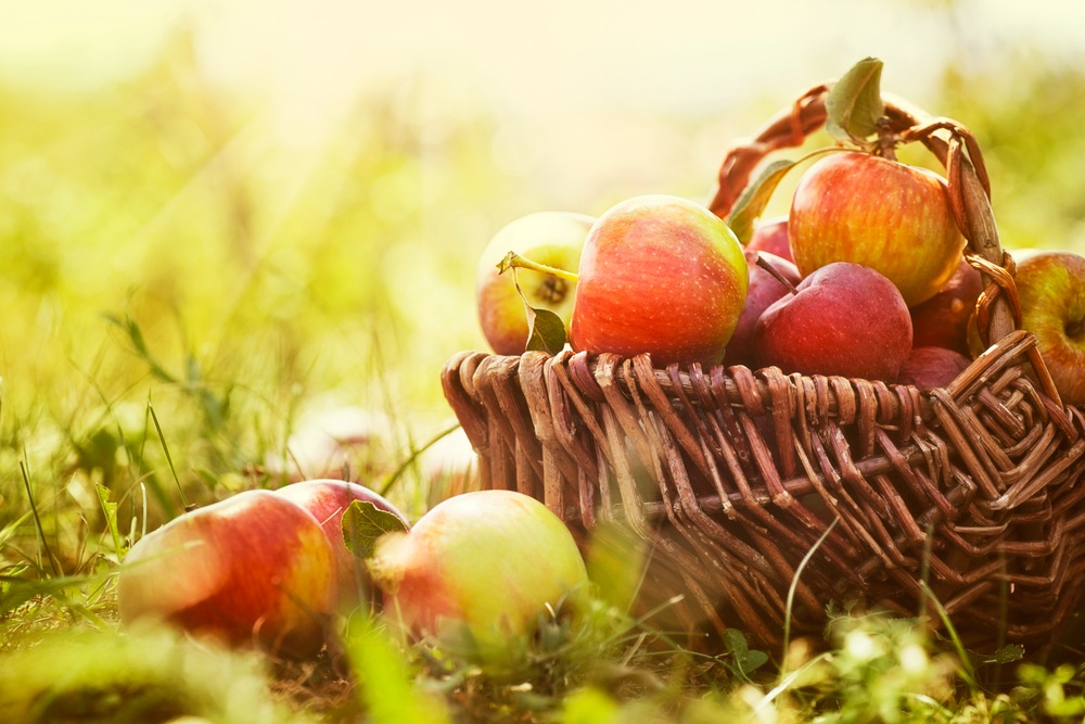Amazing Benefits Of Apples (+5 Refreshing Recipes)