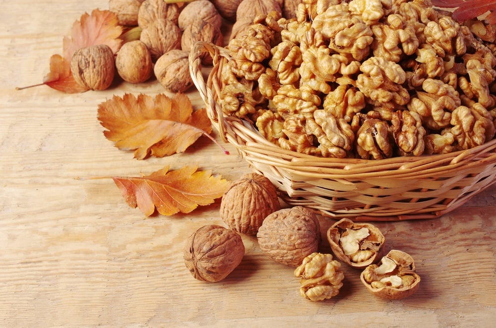 Amazing Benefits Of Walnut (+5 Refreshing Recipes)
