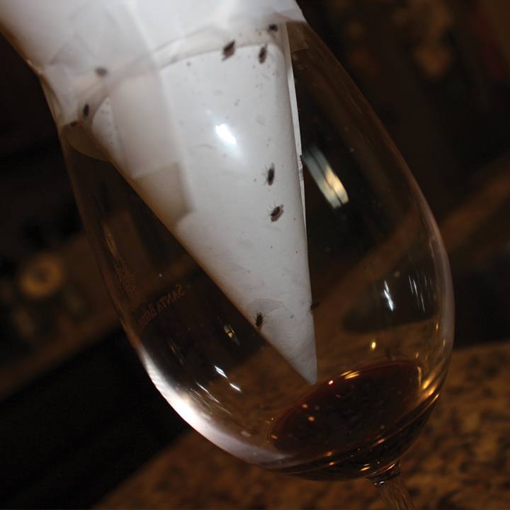 8-Uses-For-Wine-Thats-Gone-Bad-Fruit-fly-trap-720x720-slideshow