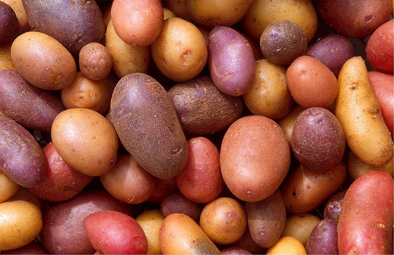 potatoes-522486_1280