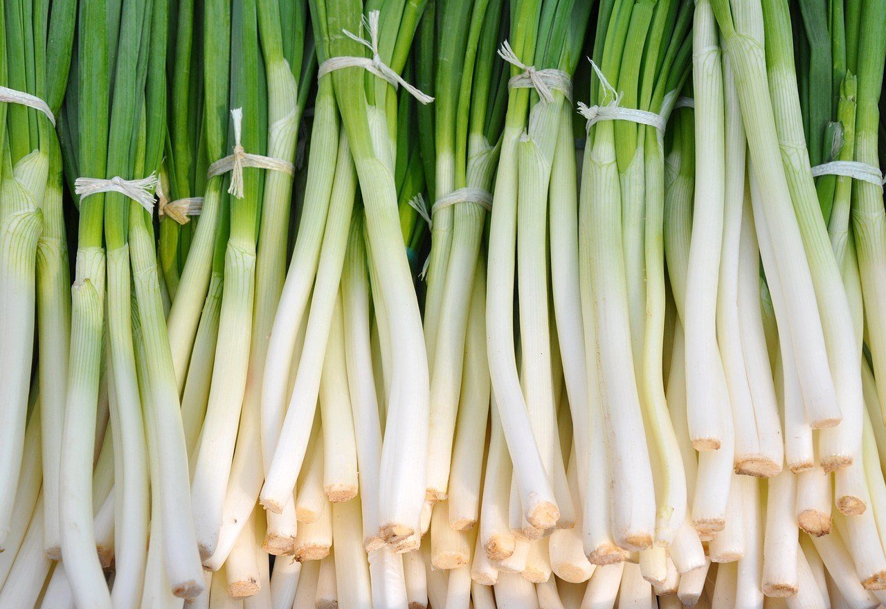 alliums are cancer-fighting foods