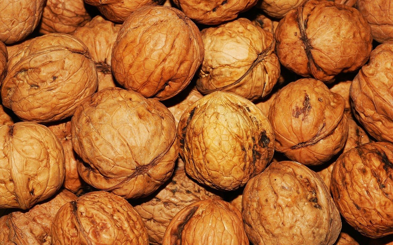 walnut-101425_1280