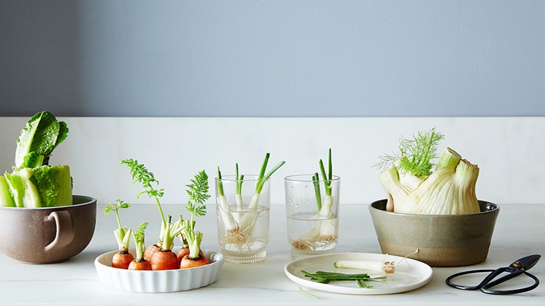 8 Vegetables And Herbs That Require Little Effort And Will Regrow Forever