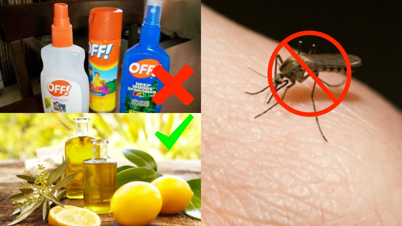 How To Make DIY Mosquito Repellent With Natural Essential Oils