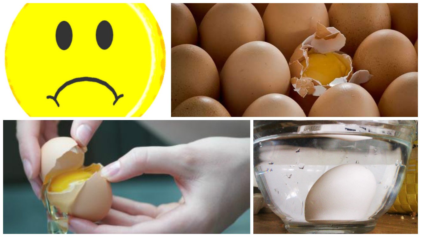 How to Predict If an Egg Has Gone Bad Within 1 Minute