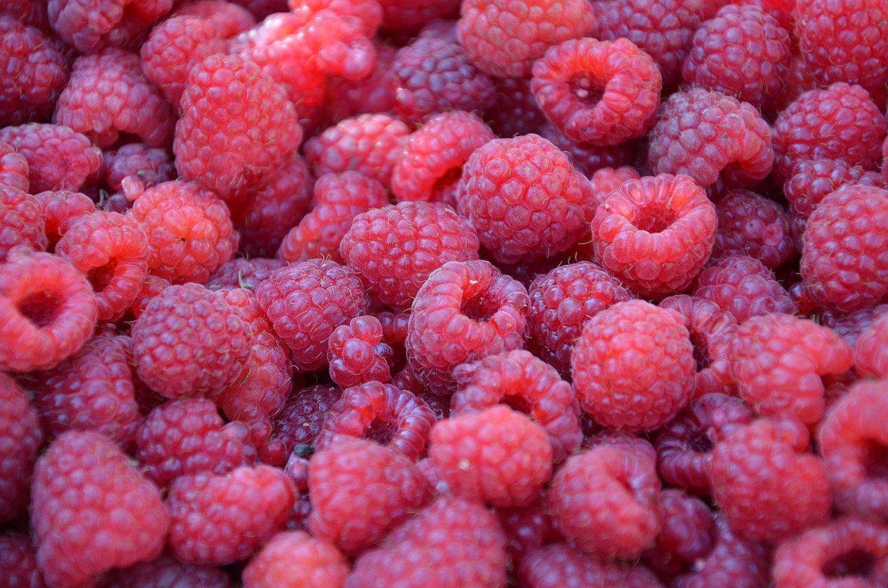 The Amazing Benefits of Raspberries + 5 Great Recipes