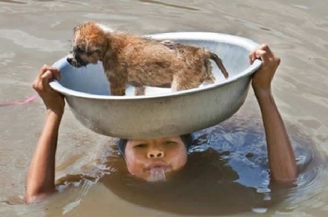Kid rescue puppy