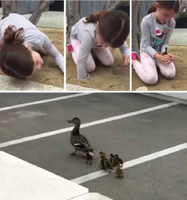 kids rescue ducklings