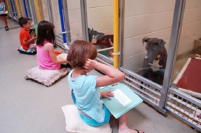 kids and Dog Shelter