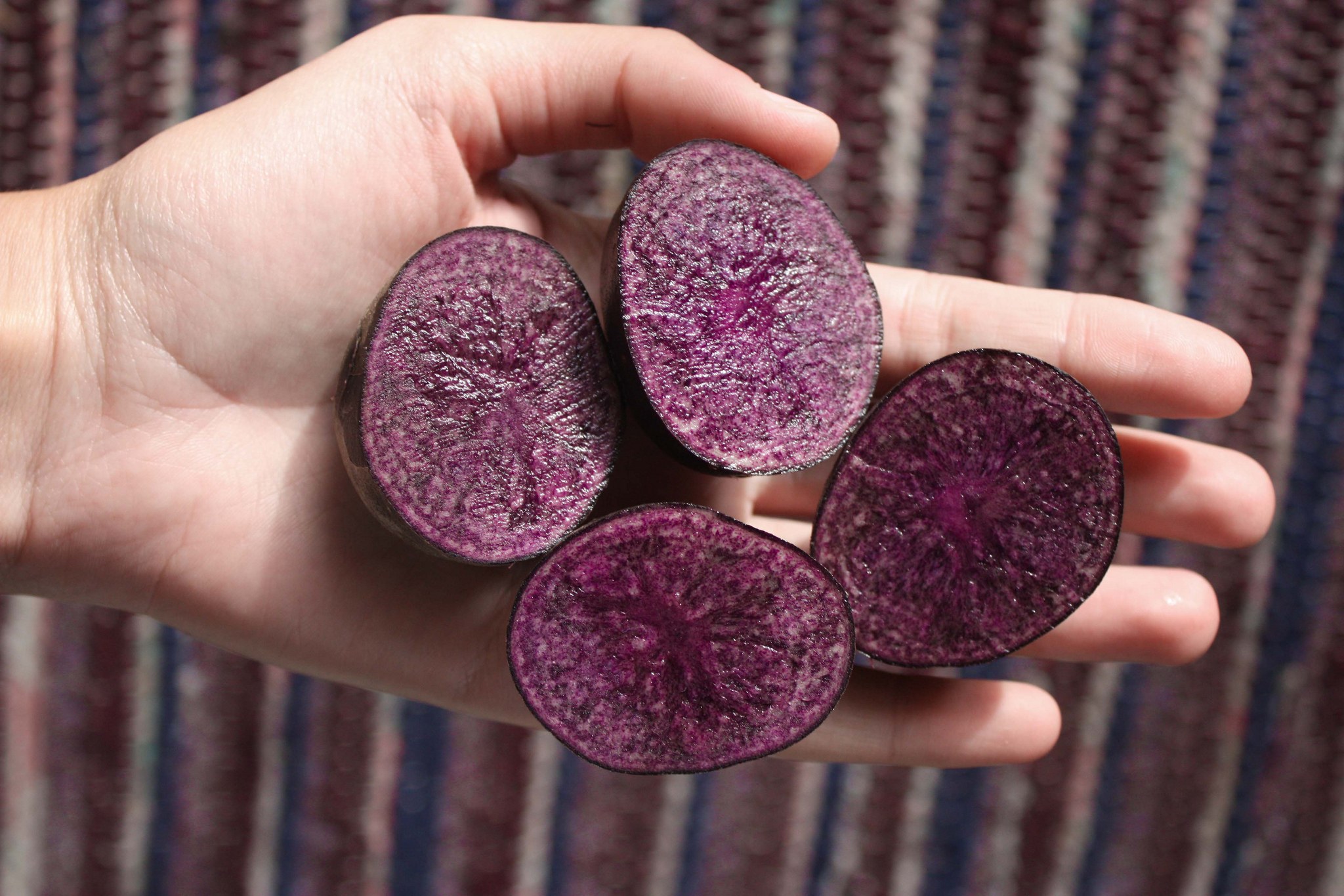 This Purple Food Has Been Found To Help Prevent Cancer