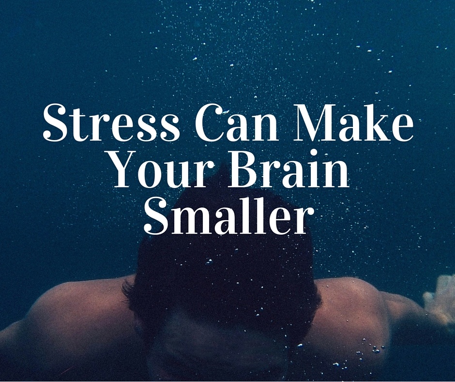 Stress Doesn’t Only Affect Our Mood, It Changes Our Brains