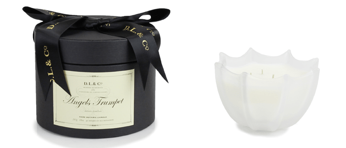 angels-trumpet-10oz-scalloped-candle