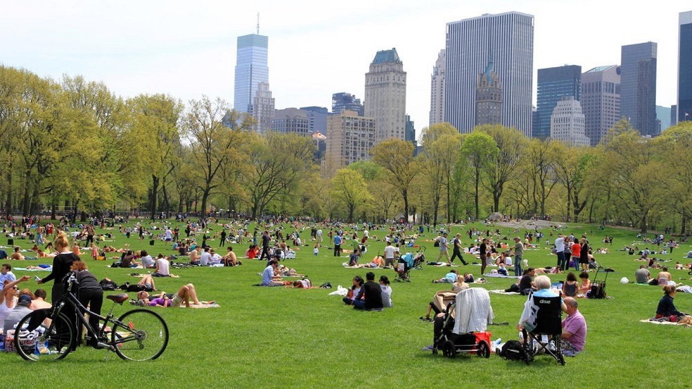8 Things to Remember When Visiting Famous Central Park in Your City