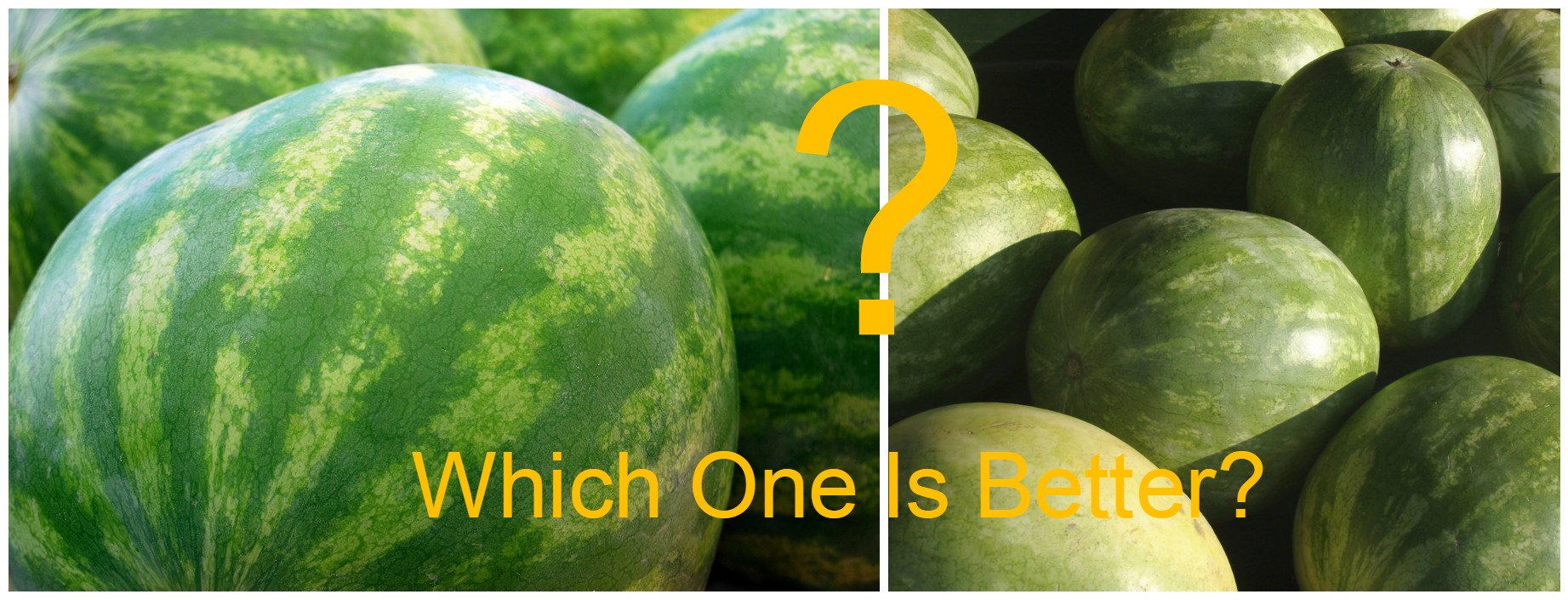 With These Hacks, You&#8217;ll Not Pick A Bad Watermelon Anymore
