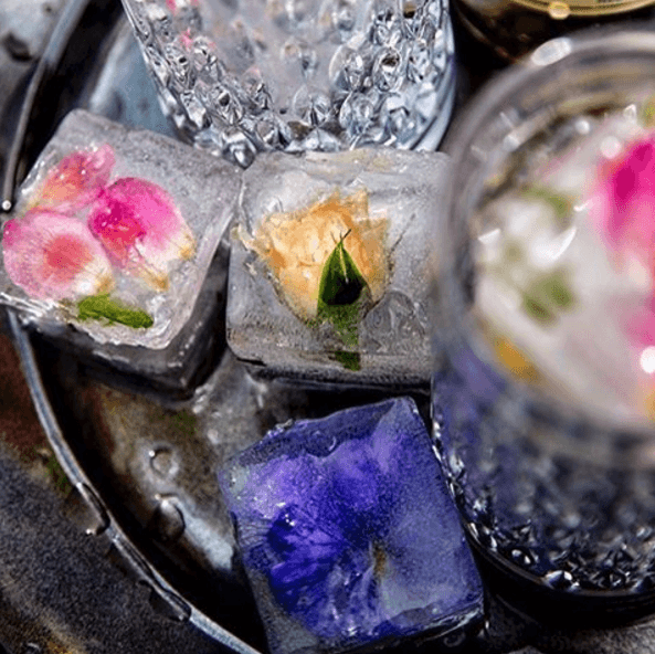 Melting flower ice cubes, Tigertessy, Instagram