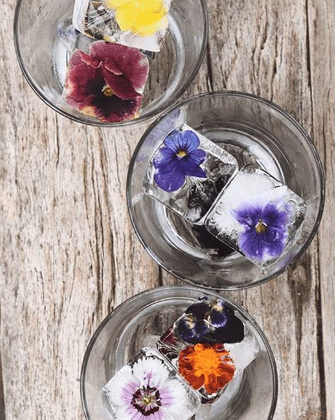 Big flower ice cubes, Nicole Scharer, Instagram