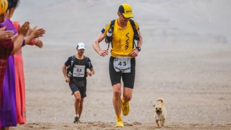 Stray Puppy Joined A Marathon Race That Humans Found Challenging, And Found Her Pal For Life