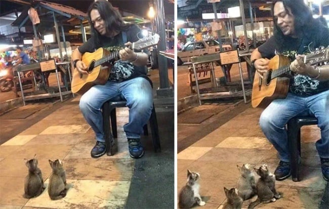 Talented Busker Got Ignored By Every Passerby, But His Little Fans Never Gave Up On Him