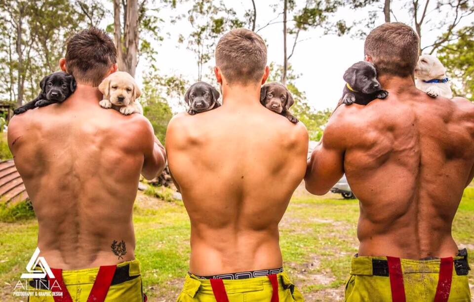 Firefighters Take Off Their Clothes To Rescue Puppies. This Is Really Touching