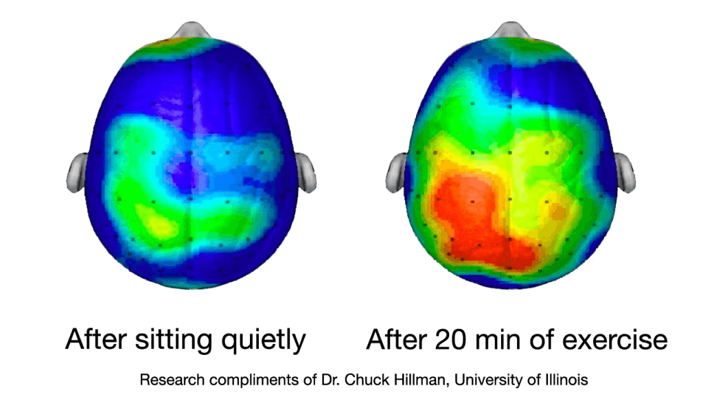 brain-activity-exercise-1024x603