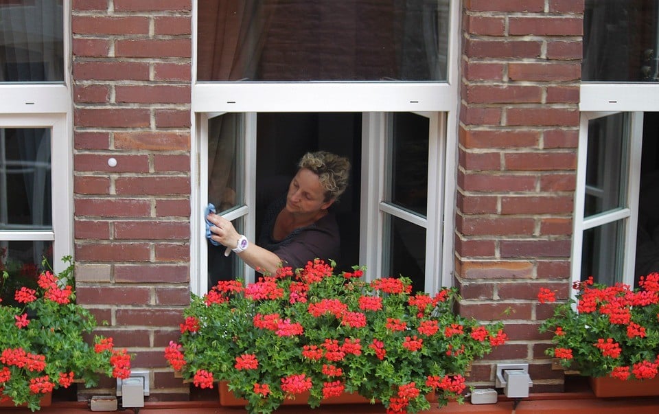10 Expert Tips To Have Your Windows Sparkling In No Time