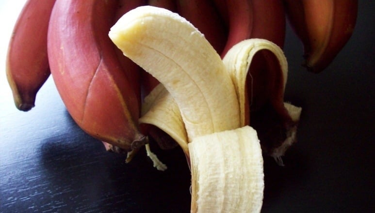 13 Amazing Health Benefits Of Red Banana (Better Than Yellow Banana!)
