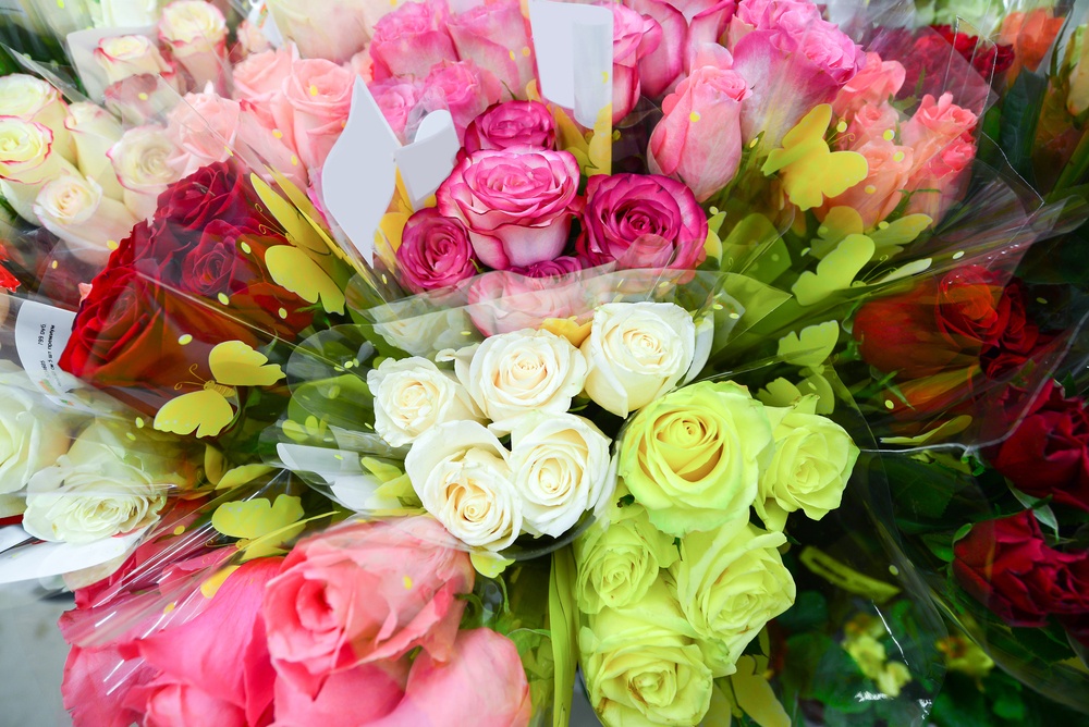 6 Varieties of Flowers for All Occasions