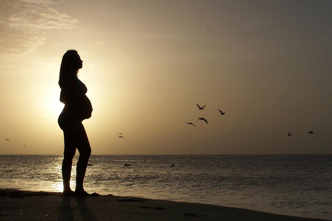 5 Things Every Pregnant Woman Should Know About the Zika Virus
