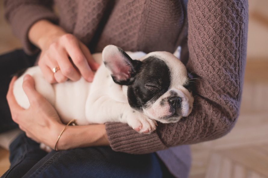 5 Essential Tips for First-Time Dog Owners