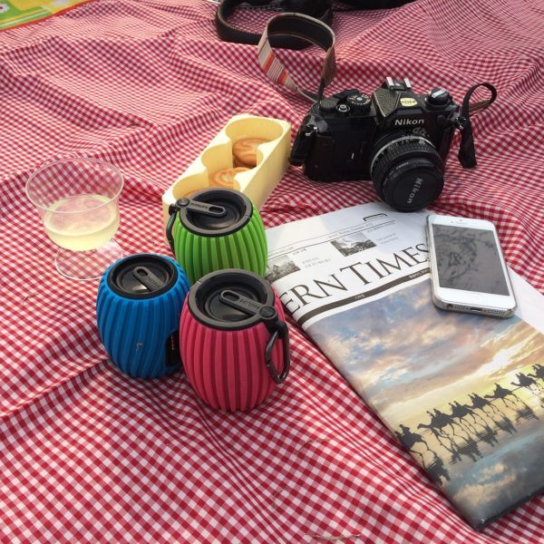 5 Useful Things for the Perfect Picnic