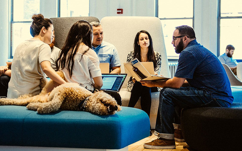 How Pet-Friendly Policies Improve The Workplace