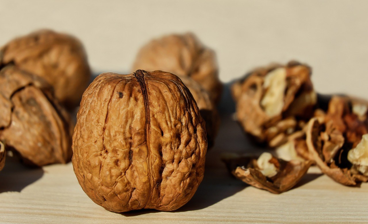 walnut-1739021_1280