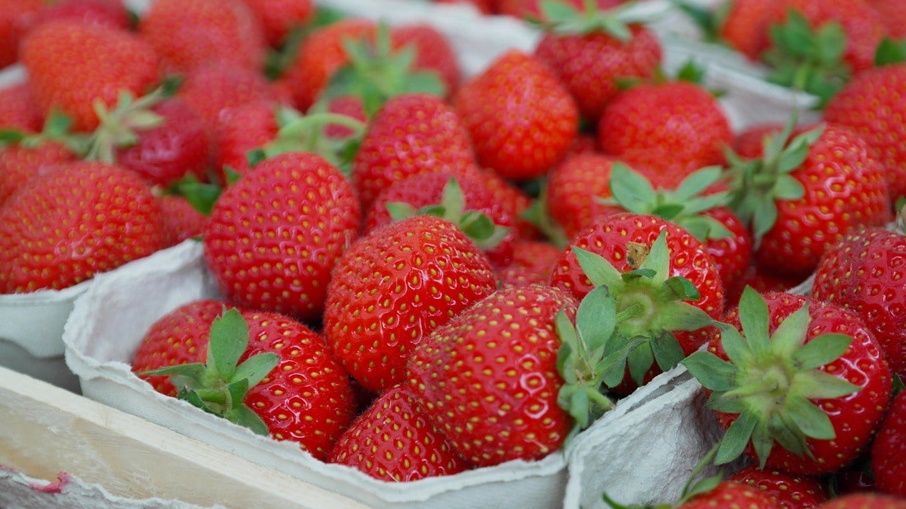 strawberries-823782_1280