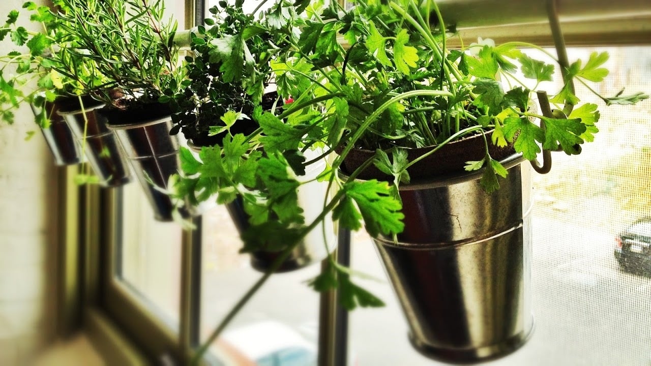 10 Ideas to Use When Creating the Perfect Indoor Garden