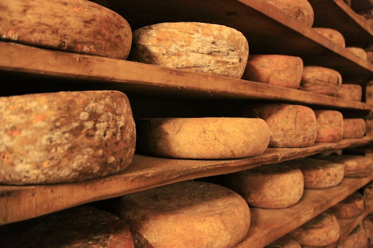 Good News For Cheese Lovers: New Research Says You Can Live Longer