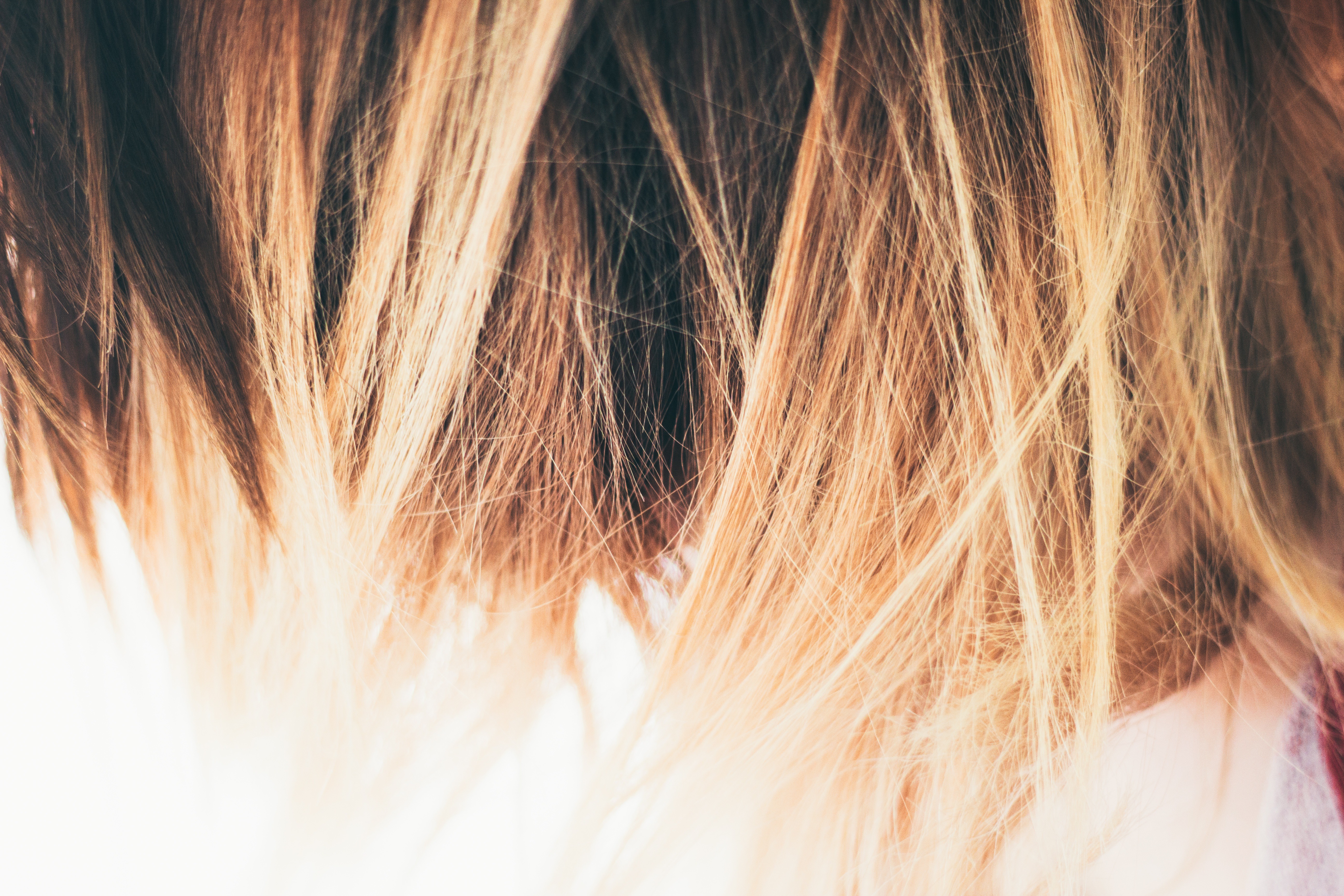 8 Effective Home Remedies For Dry And Damaged Hair - LifeHack
