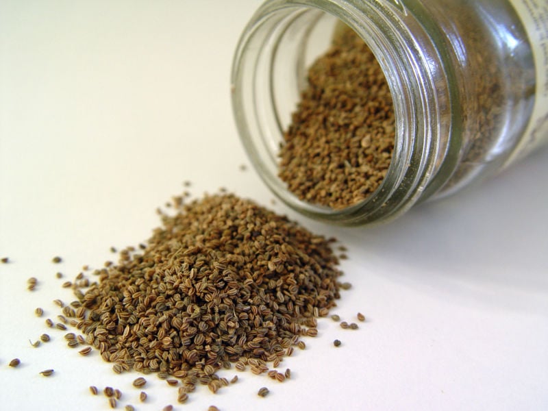 celery-seed-pictures