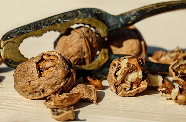walnut-1751661_640